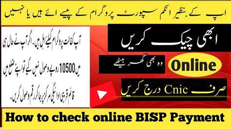 check bisp balance online